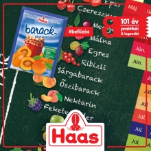 Haas Befőzési naptár
